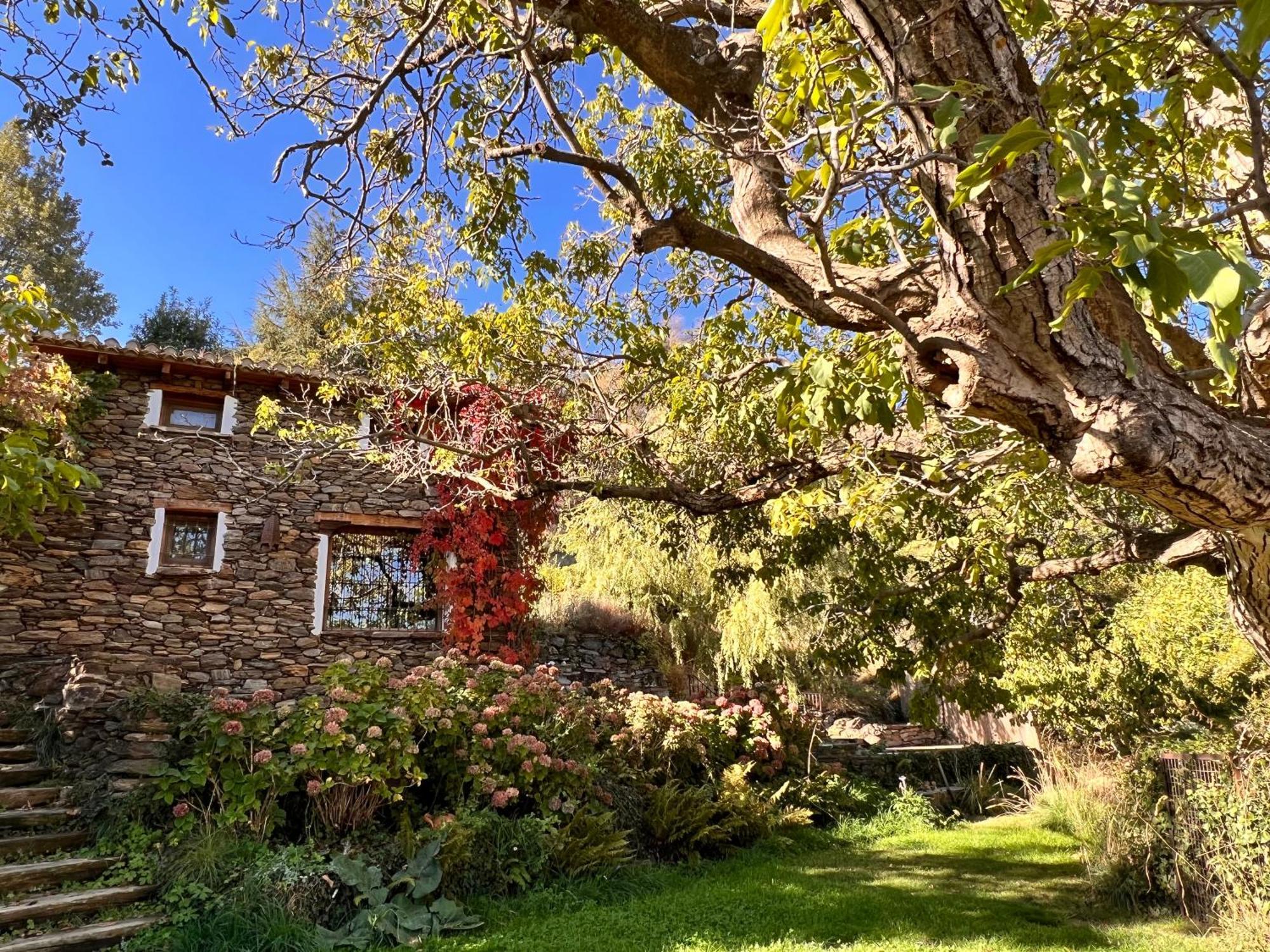 La Casa Del Nogal Villa Guejar Sierra Exterior photo